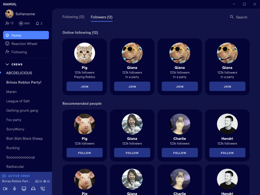 Followers and recommended people